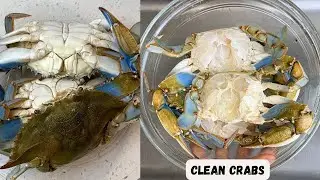 How to Clean Blue Crabs | Comment Nettoyer les Crabes