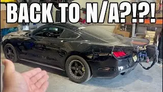 New Plans for BLACK Mamba!! Plus 2024 Mustang Potential Delays