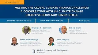 Meeting the global climate finance challenge