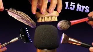 ASMR ULTIMATE MIC BRUSHING - Extra Tingly Brushing & Scratching 😴  [No Talking]