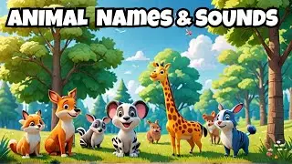 Animal Sounds: A Fun and Educational Introduction to the Animal Kingdom!