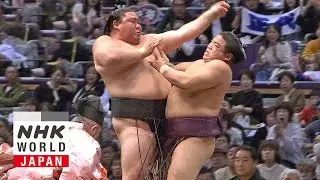 GRAND SUMO: Day 4 of the November 2024 Tournament - GRAND SUMO Highlights