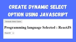 Create Dynamic Select Option Using JavaScript | JavaScript Tutorial | NSCODE