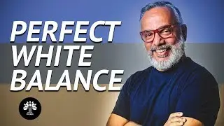 How to get Perfect In-Camera White Balance ? - Viilage Wisdom