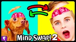 Brain Swap Part 2! with HobbyFrog and HobbyFlappy