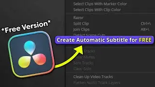 FREE Automatic Subtitles in Davinci Resolve (Free Version)