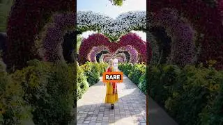 facts || most expensive and rare flowers #facts #viral #shorts