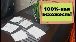 Закупила в Леруа Мерлен целую кучу шикарных семян, ценой до 3 рублей!😲 Обзор