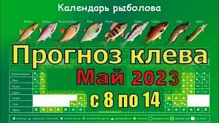 Прогноз клева рыбы на Эту неделю с 8 по 14 Мая 2023 Календарь рыбака на май. Лунный календарь рыбака