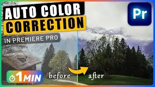 How to Use AUTOMATIC Color Correction in Premiere Pro