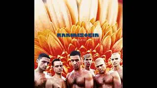Rammstein- der Meister ( audio )