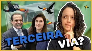 MDB E PSDB: ESQUERDA OU DIREITA? | OS PARTIDOS POLÍTICOS DO BRASIL 2