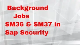 Background Jobs SM36 & SM37 | PFCG_TIME_DEPENDENCY