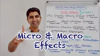 What are Micro and Macro Effects? 25 Marker AQA/Edexcel Paper 3 Revision