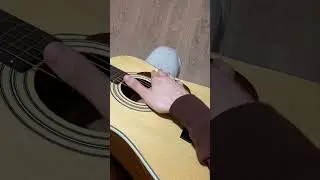 Музыкалка не нужна! Сыграешь любую песню!