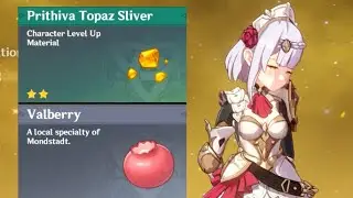 Genshin Impact - Noelle Geo First Ascend - Valberry Location and Topaz Sliver from Souvenir Shop