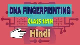 DNA Fingerprinting | DNA Fingerprinting class 12 | Be Educated