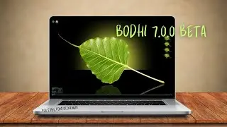 A First Look At Bodhi Linux 7.0.0 “BETA” with Ubuntu LTS Based And Moksha 0.4.0