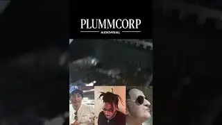 lil Bro Burnt Everything (Plummcorp)