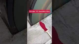 Sander VS Swedish Fish