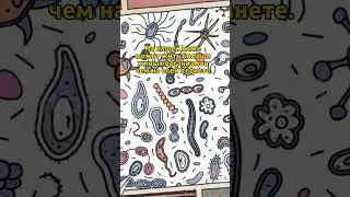 Факты о которых ты не знал! 