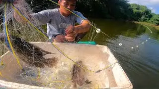 Ternyata‼️Jenis ikan ini ada di danau ini