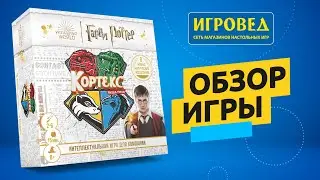 Кортекс. Гарри Поттер. Обзор настольной игры от Игроведа