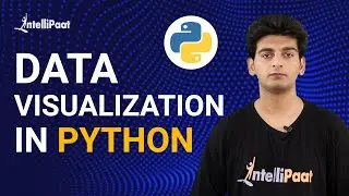 Data Visualization | Data Visualization Python | Intellipaat