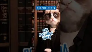 Суд поставил точку в деле про котов 