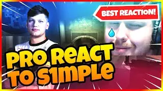 PRO PLAYERS REACTION TO S1MPLE PLAYS (feat. pashaBiceps, ropz, niko, jasonr, get_right and more)