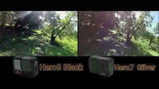 test estabilización GoPro hero 9 black vs hero 7 silver