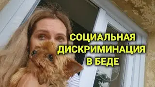 бохатые  тоже плачут | готовы меня раскулачить| страховка на дом