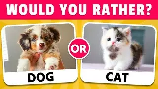 Would You Rather...? Animals Edition 🐶🐈‍⬛