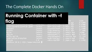 Part 2 of Chapter 3 - Running Container with Pseudo TTY