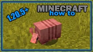 Everything You Need to Know About the Armadillo | Easy Minecraft Mob Guide