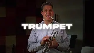 FREE DNB TYPE BEAT |JUMP UP/DNB| (TRUMPET)