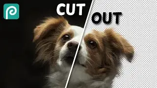 How to Cut Out Hair or Fur in Photopea