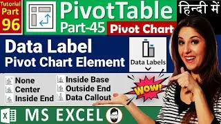 MS-EXCEL-96-Label in Pivot Chart | Label Option in Pivot Chart | Label Element | PivotChart Tutorial