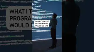 what i thought programming would be like 