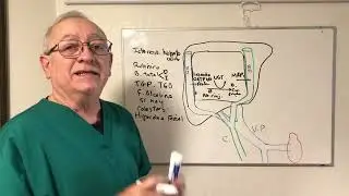 Síndrome Icterico. Diagnostico topográfico. Ictericia hemolitica, hepatocelular y obstructiva