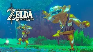 🔴 Hardest Challenge in the Hardest Mod? BOTW ROTP