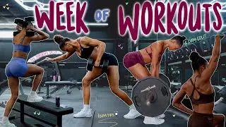 MY WEEKLY TRAINING ROUTINE | 4 Day Split | What has built my muscles