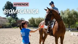Mejora tu postura al montar a caballo - Biomecánica parte 2