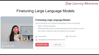 Finetuning Large Language Models