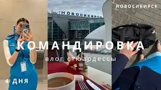 Командировка стюардессы | Новосибирск, влог