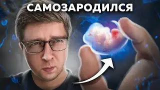 Эмбрион зародился ИЗ КЛЕТОК КОЖИ: у него мозг и сердце | Пушка #40