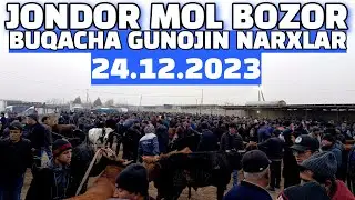 BUXORO JONDOR MOL BOZOR 24.12.2023/YOSH BUQACHA GUNOJIN NARXLAR.