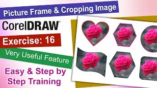 Picture Frame and Cropping image in Corel Draw Exercise. No. 16 | YN Tutor