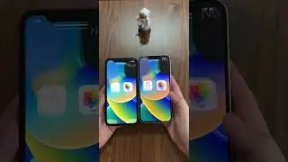 iPhone 11 vs 14