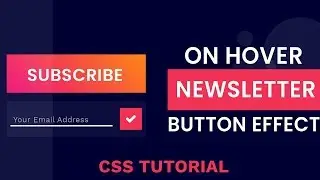 Cool Newsletter Button On Hover Effect | CSS Button Effects | CSS Tutorial